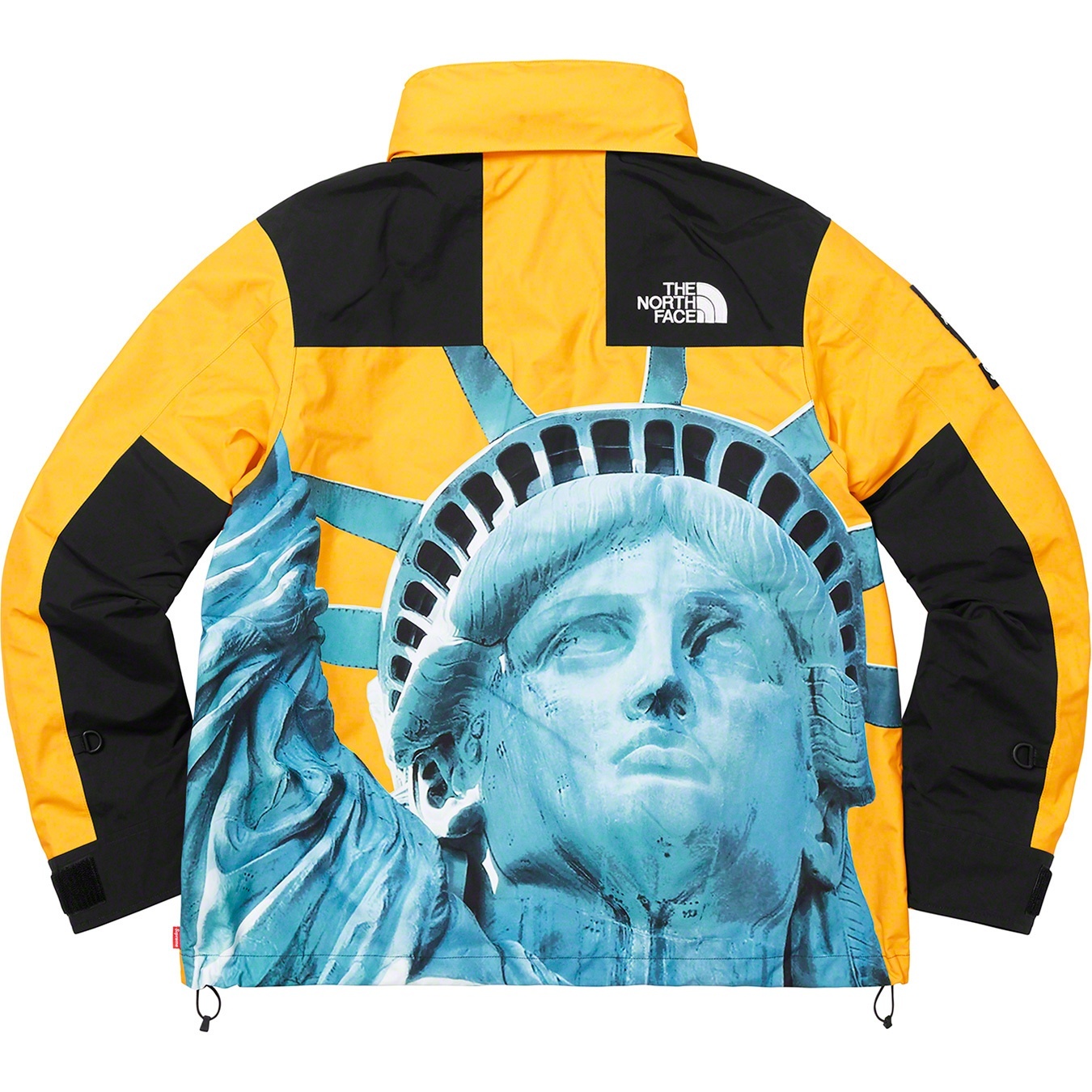 Supreme®/The North Face® Statue of Liberty Mountain Jacket view 16